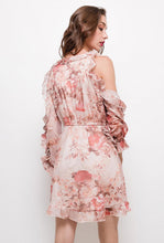 Load image into Gallery viewer, DANITY  DRESS  PINK 61003-1